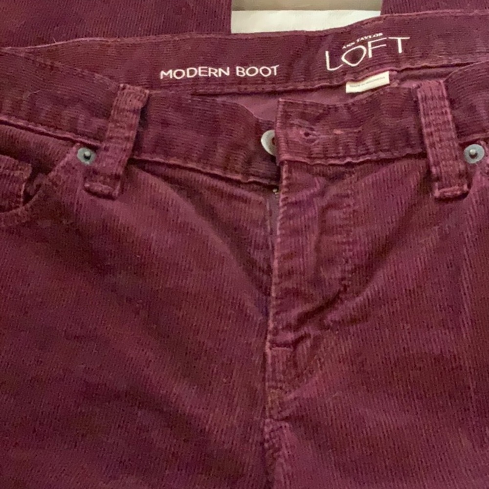 LOFT Modern cut cords in size 8